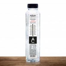 AQUA CARPATICA PLATĂ 0.5L